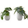 Artificial Plant, 8" Tall, Alocasia, Indoor, Faux, Fake, Table, Greenery, Potted, Set Of 2, Decorative, Green Leaves, White Cement Pots - 2 of 4