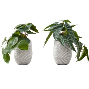 Cesicia 8" Artificial Plant with White Cement Pots, Set Of 2 - 1 of 4