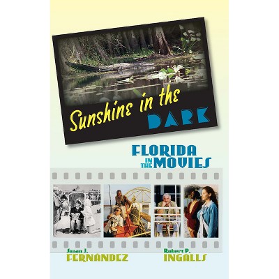 Sunshine in the Dark - by  Susan J Fernandez & Robert P Ingalls (Paperback)