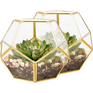 D'Eco Glass Geometric Plant Terrarium (Set of 2) - Indoor Tabletop Gold Sphere Planter Terrarium- Home Garden Office Wedding Decor - Plant Lovers Gift - 1 of 3