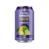 Flying Embers Tiki 10% Variety - 6pk/12 fl oz Cans - 2 of 3