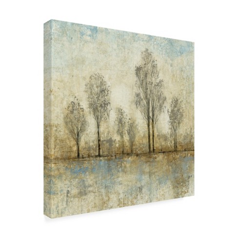 Trademark Fine Art -tim Otoole 'quiet Nature Iii' Canvas Art : Target