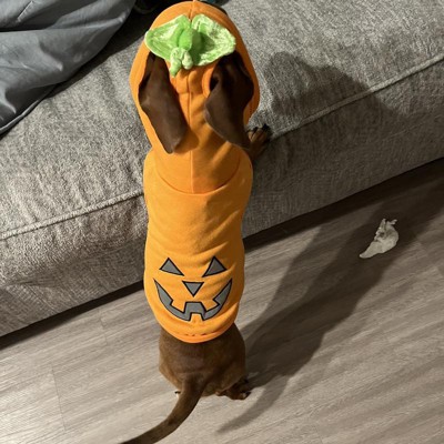 Halloween Dog And Cat Basketball Jersey - Hyde & Eek! Boutique™ : Target