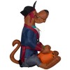 Gemmy Airblown Inflatable Scooby as Pirate WB, 3 ft Tall, Multicolored - 4 of 4