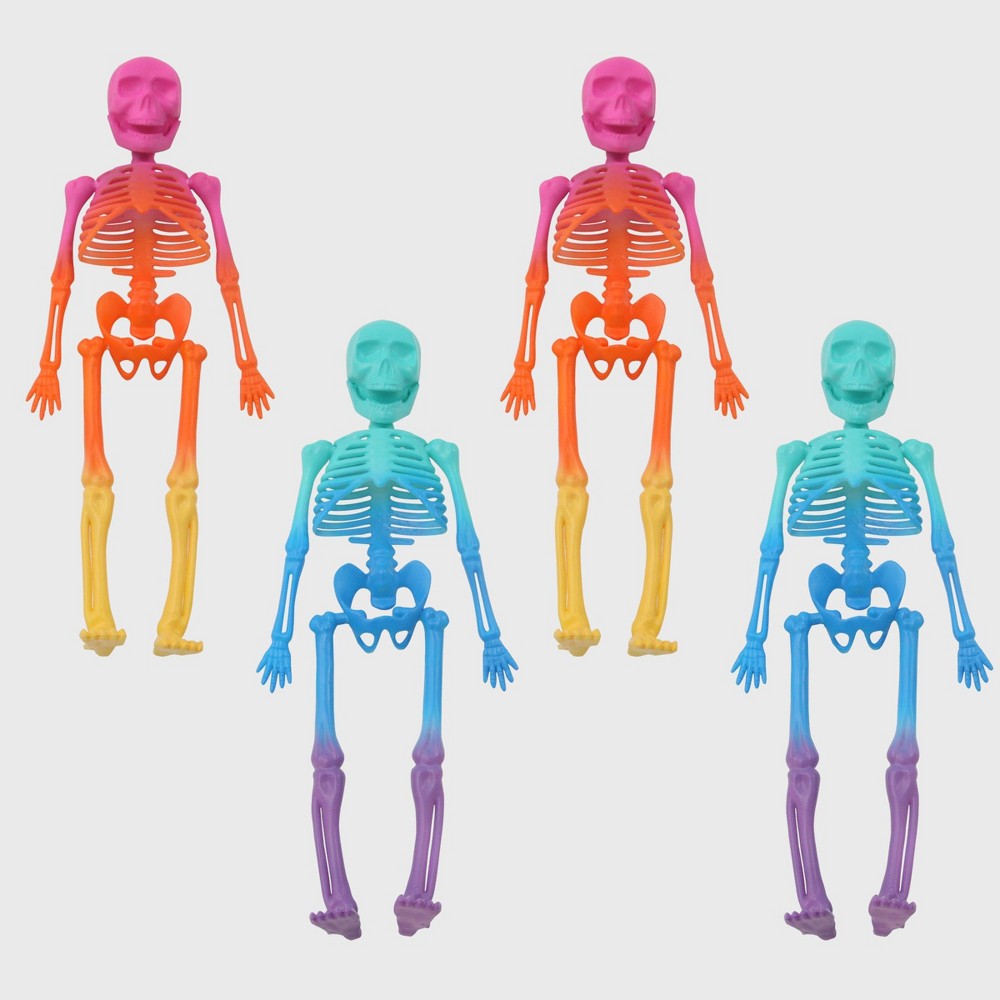 4ct Large Skeleton Warm & Cool Rainbow - Bullseye's Playground