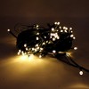 Perfect Holiday 100 LED Green Wire String Light with connector Waterproof - Warm White - 2 of 3