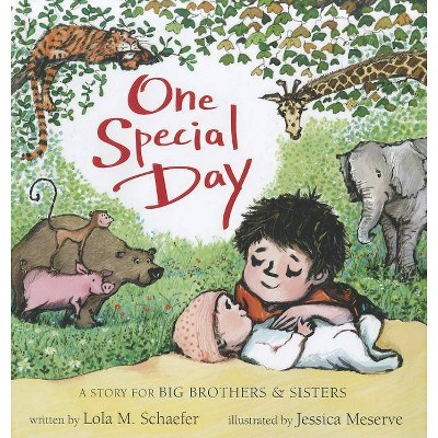 One Special Day - (Story for Big Brothers and Sisters) by  Lola Schaefer (Hardcover)