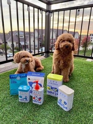 Guest review image 1 of 3, zoom in