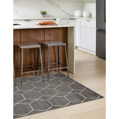Geometric Trellis Frieze Dark Gray/Ivory Area Rug 3'3" x 5'3"