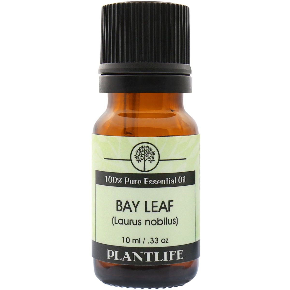 Plantlife Bay Leaf Aromatherapy Essential Oil – 100% Pure, Therapeutic Grade, No Additives or Fillers, 10 ml