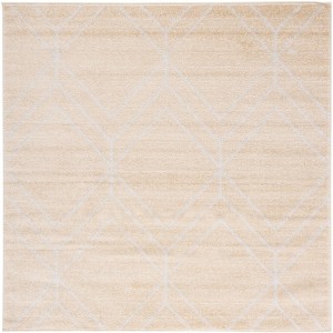 Adirondack ADR241 Non-Shedding Power Loomed Indoor Rugs - Safavieh - 1 of 4