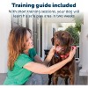 PetSafe Wireless Pet Containment System Receiver Collar for Dogs, Wireless Dog Collar Waterproof Material, Fits Small, Medium, Large Pets - 4 of 4