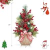 24 Inch Mini Artificial Christmas Tree with Bow, Berries, Pine Cones and Balls, Tabletop DIY Holiday Decor for Home or Office - 2 of 4