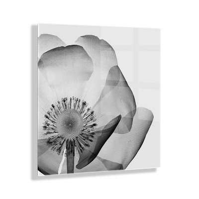 23" x 23" Poppy Ray Floral by The Creative Bunch Studio Floating Acrylic Unframed Wall Canvas - Kate & Laurel All Things Decor