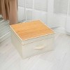 WeThinkStorage 50L Folding Fabric Storage Bin with Lid and Handle Ivory Natural Bamboo - 2 of 4