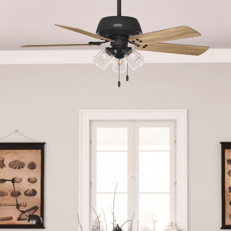 52" Shady Grove Ceiling Fan with Light Kit and Pull Chain (Includes LED Light Bulb) - Hunter Fan, 4 of 15