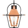Rue De Royal 1-Light Outdoor Wall Lantern - 3 of 4