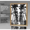 Americanflat 22x28 Poster Frame in Pine with Polished Plexiglass - Horizontal and Vertical Formats - Wall Mounted - 3 of 4