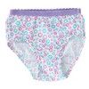 Fruit of the Loom Toddler Girl's Briefs Underwear (10 Pack) - 3 of 4