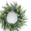 Mixed Eucalyptus Leaf Foliage Wreath with Twig Accents 29"D - 3 of 3