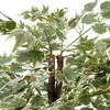 Vickerman Artificial Silver Maple Series - 2 of 4