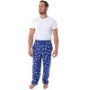 ThunderCats Men's Classic Cartoon Character Adult Sleep Lounge Pajama Pants ThunderCats - 4 of 4