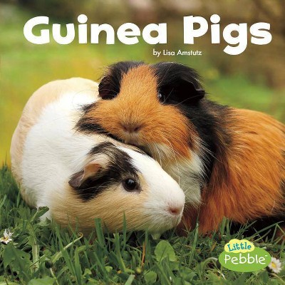 Guinea Pigs - (Our Pets) by  Lisa J Amstutz (Paperback)