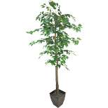 6' Artificial Ficus Tree in Embossed Metal Base (Square) – LCG Florals