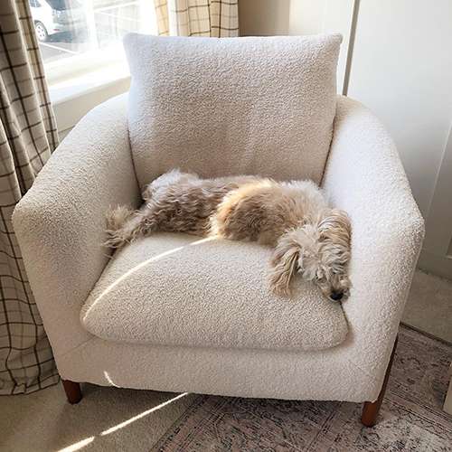 user image by @twogooddawgz, Elroy Accent Chair with Wooden Legs - Threshold™ designed with Studio McGee