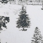 december frost
