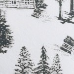 december frost