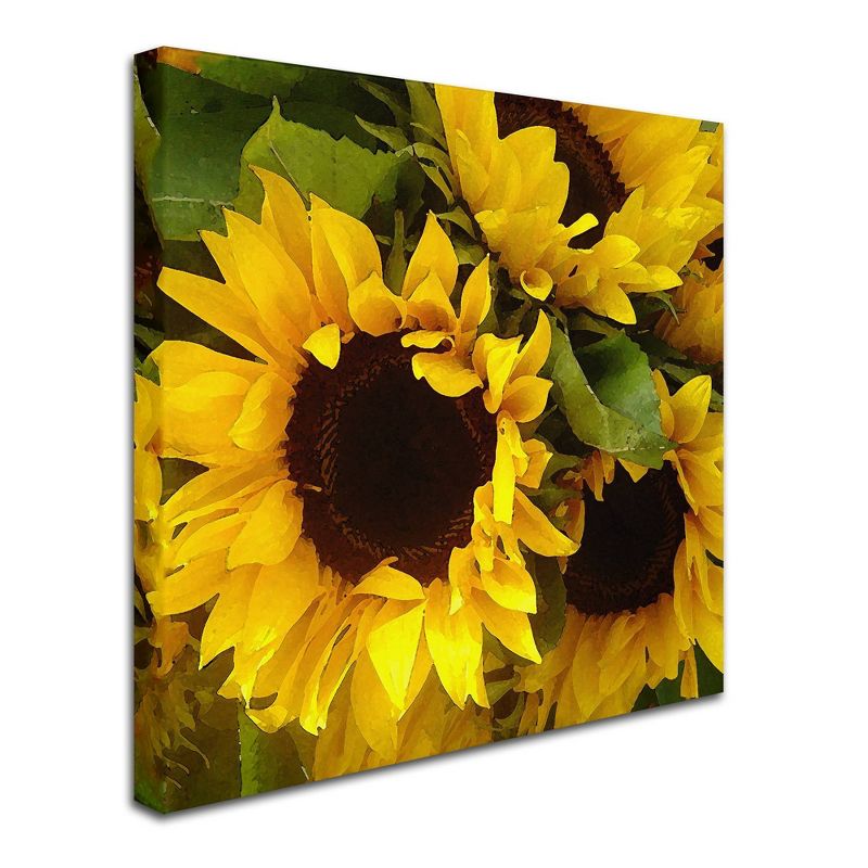 24&#34; x 24&#34; Sunflowers by Amy Vangsgard - Trademark Fine Art, 3 of 6