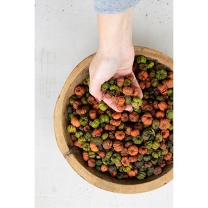 Orange and Green Dried Putka Pods – 7" Tall Mini Pumpkin Decor by Kalalou - 1 of 3