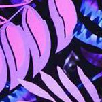 purple palm leaf