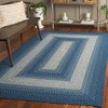 Braided BRD311 Machine Washable UV & Stain Resistant Non-Shedding Hand Woven Indoor/Outdoor Rugs - Safavieh - 2 of 4