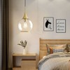 KAISITE 1 - Light Black Single Pendant Light With Globe Clear Glass - 3 of 4