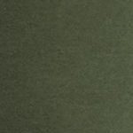 dark cilantro green