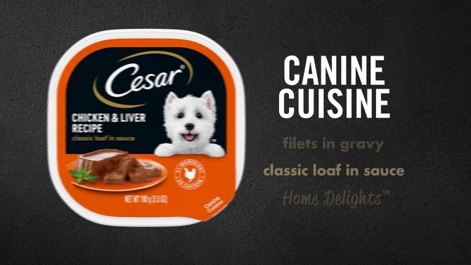 Cesar Home Delights Pot Roast &#38; Vegetable, Beef Stew, Turkey Potato &#38; Green Bean, and Chicken &#38; Noodle Adult Wet Dog Food - 3.5oz/24ct, 2 of 13, play video