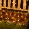 Joyfy 2 Pack 100 Warm White Christmas Net Lights, Christmas Indoor/Outdoor Decoration Light for Christmas Tree Christmas Eve Night Decor - 2 of 4