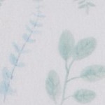 eucalyptus leaves