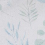 eucalyptus leaves