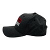 Breaking News I Dont Care Hat Funny Sarcastic Graphic Novelty Cap - Crazy Dog Hat With Sarcastic Sayings Black Standard - 3 of 4