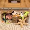 THE LICKER STORE Digby Bone-Shaped Large Hand Woven Water Hyacinth Nesting Pet Toy Organizer Baskets - 2 of 4
