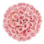 Fresh Cut Pink Roses - 50 stem