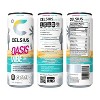 CELSIUS Sparkling Oasis Vibe Functional Energy Drink - 12 fl oz Single Can - 4 of 4