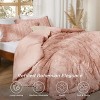 2-3 Pcs Tufted Boho Comforter Set Bed Set GentleSoft Farmhouse Shabby Chic Embroidery Bedding - 2 of 4