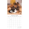 2026 Square Wall Calendar, Cats & Kittens, 16-Month Animals Theme with 180 Reminder Stickers (12x12 In) - 3 of 4