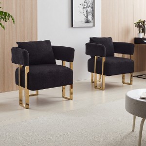 2-Piece Teddy Fleece Decorative Side Chair Set with Gold Metal Legs - 1 of 4