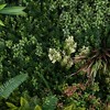 Nearly Natural 38-in x 38-in UV Resistant Madagascar Forest Artificial Living Wall Art Panel in Gold Aluminum Frame (Indoor/Outdoor) - 3 of 3