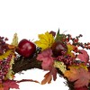 Northlight Apple and Berry Maple Leaf Twig Artificial Wreath, 22-Inch - 4 of 4